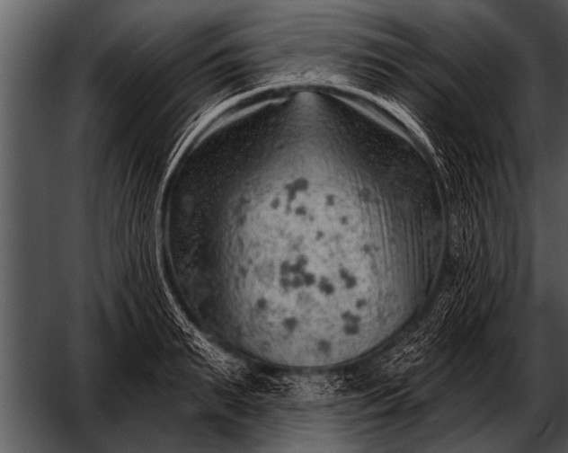 X0000052640895200507160154