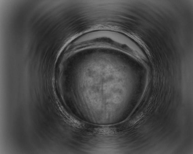 X0000052640896200507160154