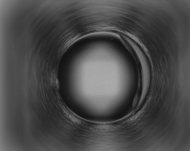 X0000052640897200507160154