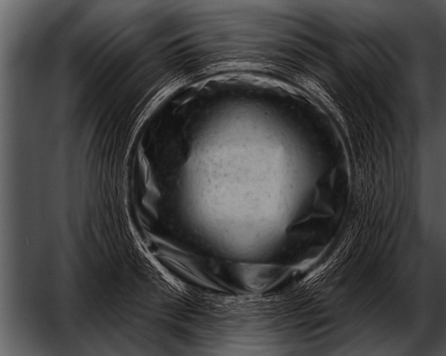 X0000052640898200507160154