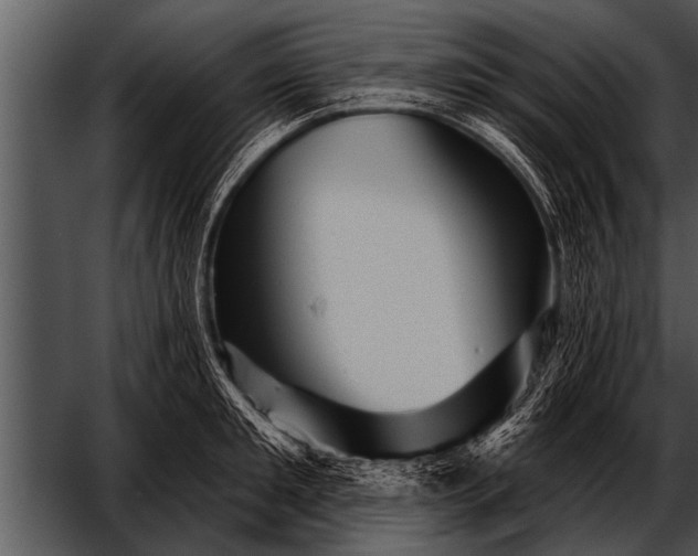 X0000052640901200507160153