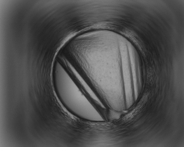 X0000052640902200507160153