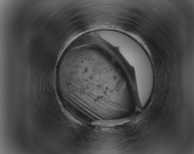 X0000052640903200507160153