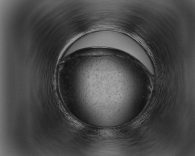 X0000052640904200507160153