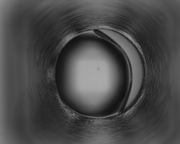 X0000052640905200507160153