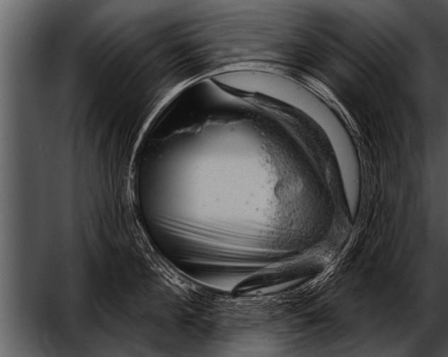 X0000052640908200507160153