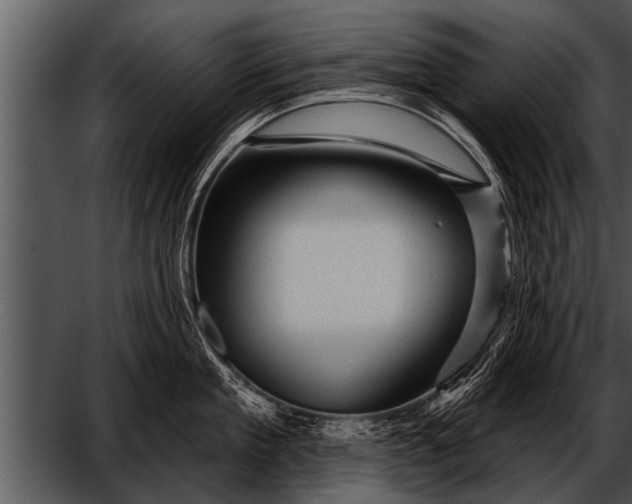 X0000052640909200507160153