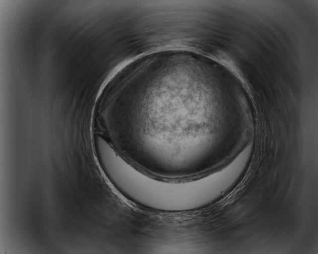 X0000052640910200507160153