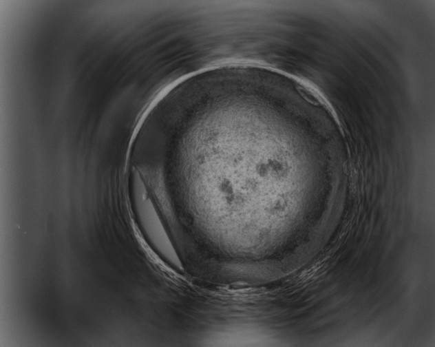 X0000052640911200507160153