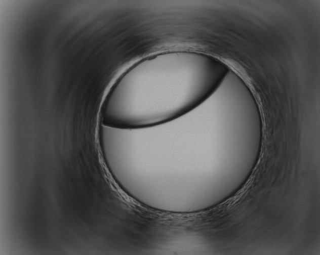 X0000052640912200507160153