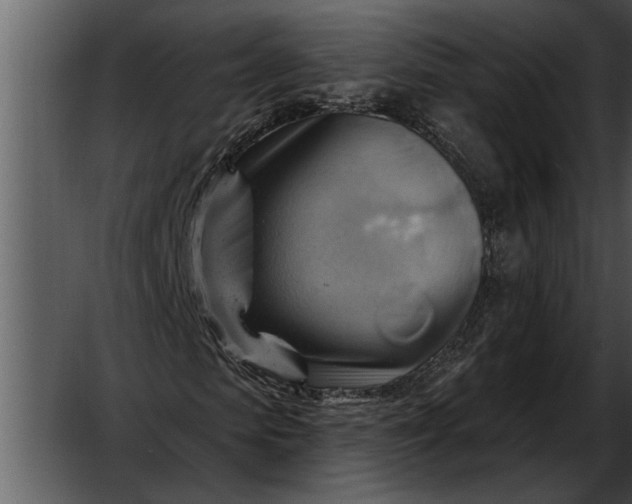 X0000052640913200507160152