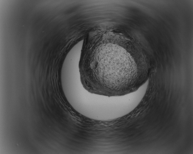 X0000052640915200507160153