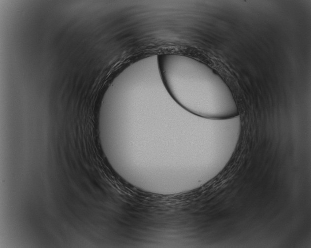 X0000052640916200507160153