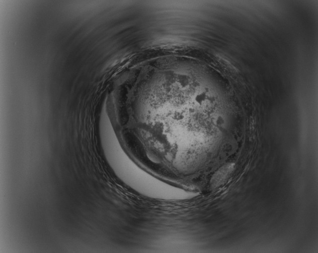 X0000052640917200507160153