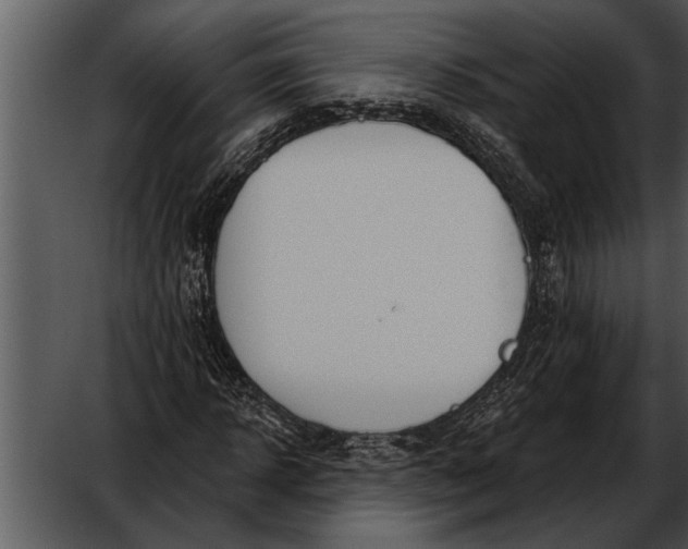 X0000052640918200507160153