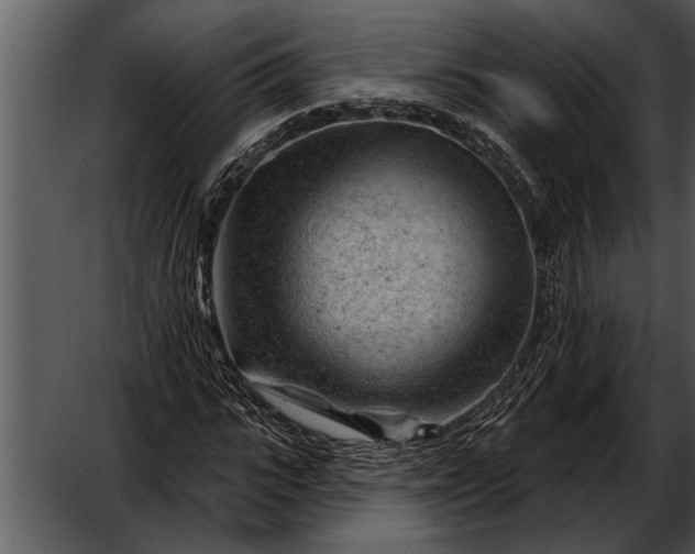 X0000052640919200507160153