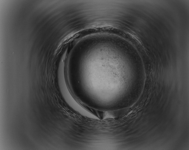 X0000052640920200507160153