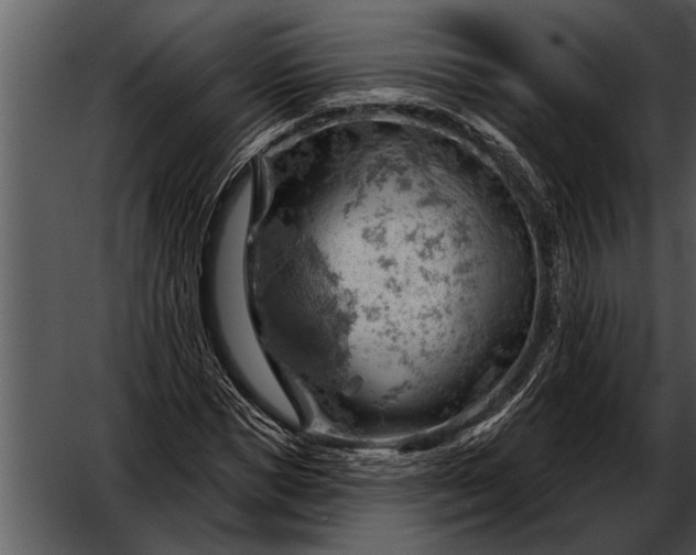 X0000052640921200507160153