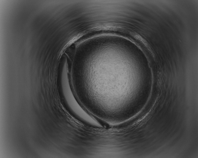 X0000052640922200507160153