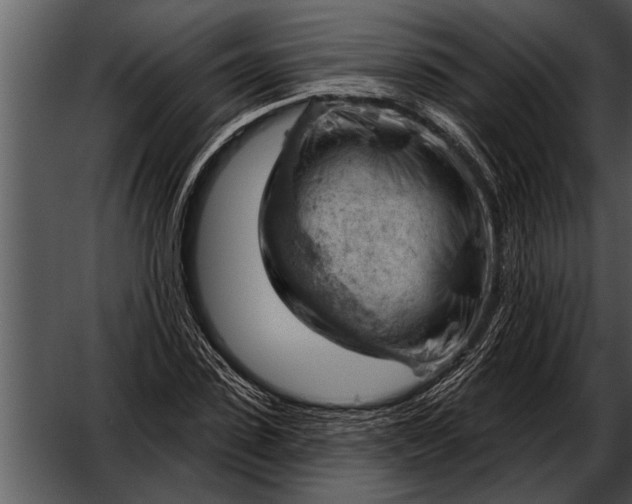 X0000052640923200507160153