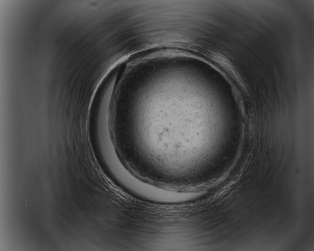 X0000052640924200507160153