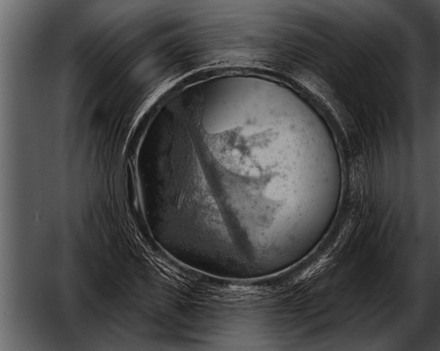 X0000052640925200507160153