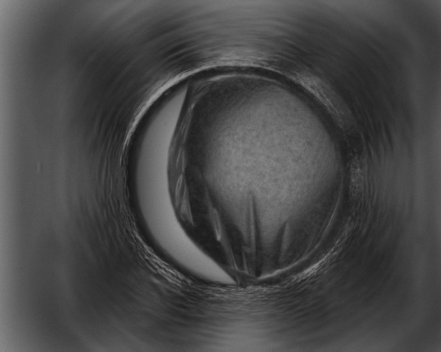 X0000052640926200507160153