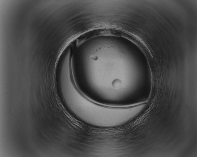 X0000052640927200507160153