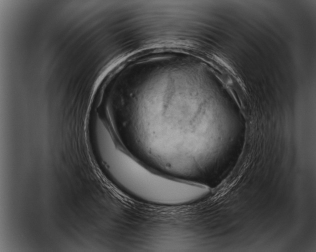 X0000052640928200507160153