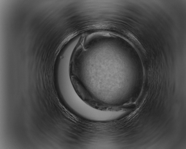 X0000052640930200507160153