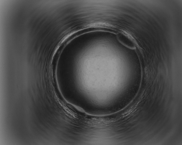 X0000052640931200507160153