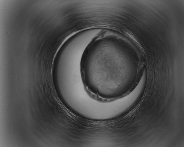 X0000052640932200507160153