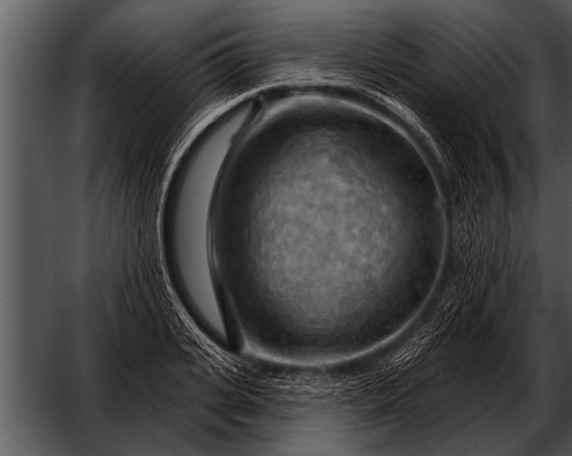 X0000052640935200507160153