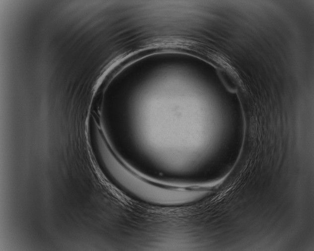 X0000052640936200507160153