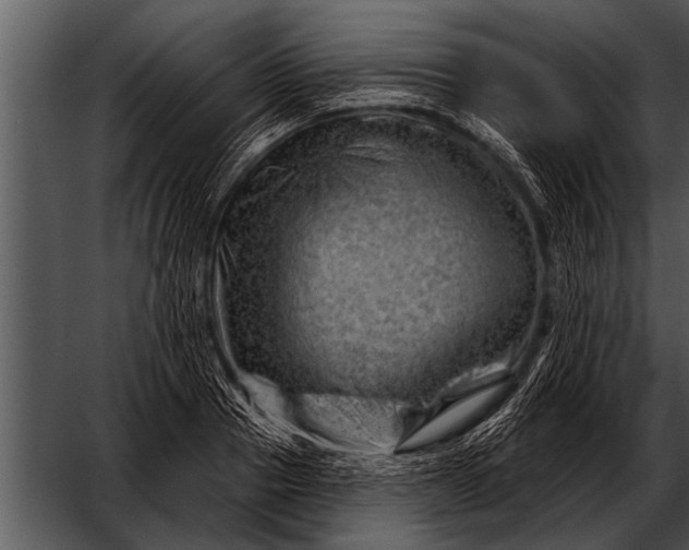 X0000052640937200507160153