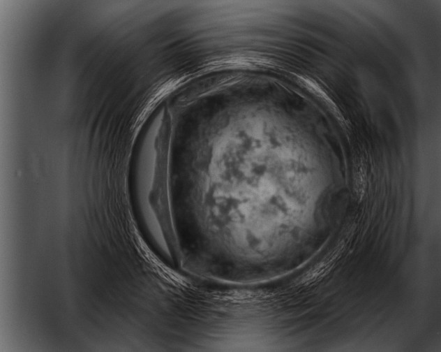 X0000052640938200507160153