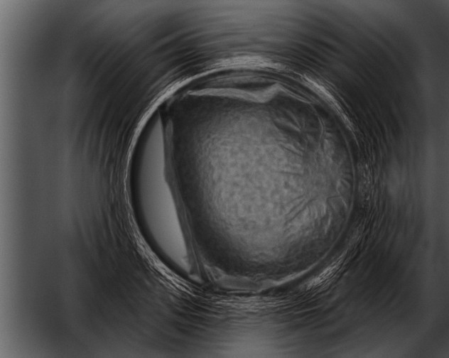 X0000052640939200507160153