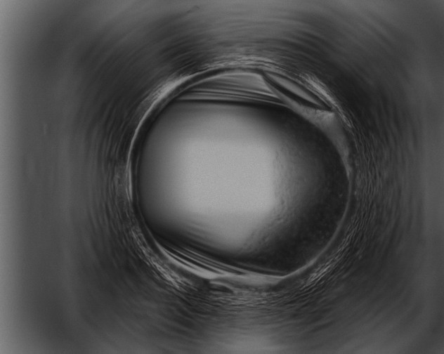 X0000052640940200507160153