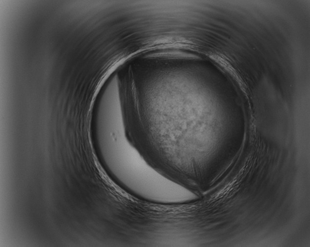 X0000052640941200507160153