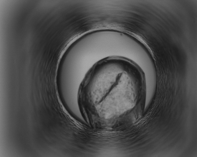 X0000052640943200507160153