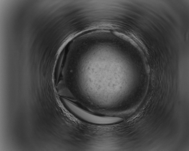 X0000052640944200507160153