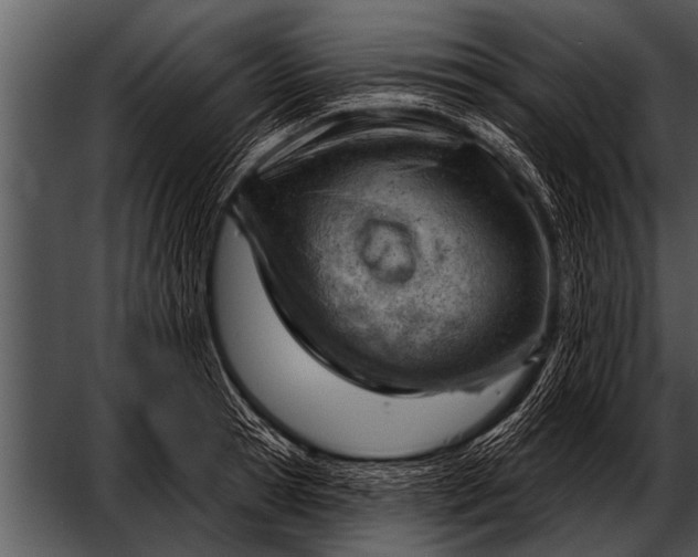 X0000052640945200507160153