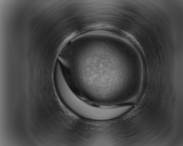 X0000052640946200507160153