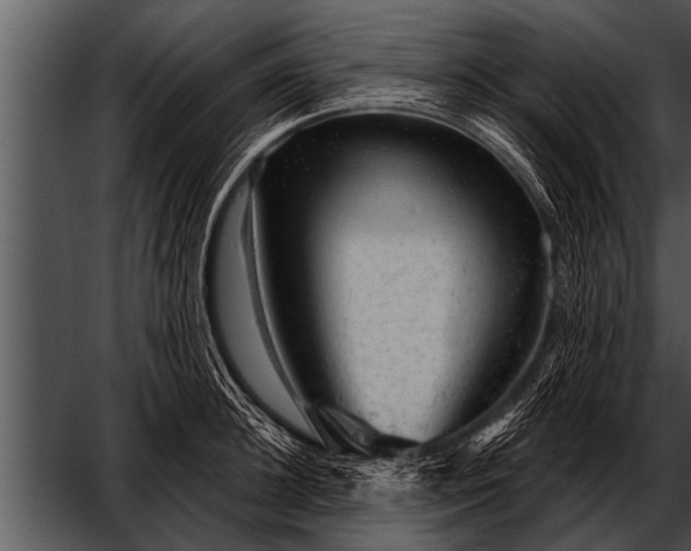 X0000052640948200507160153