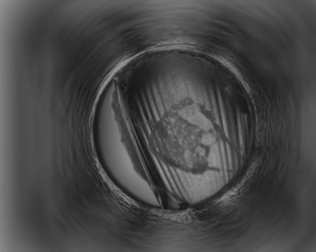 X0000052640949200507160153