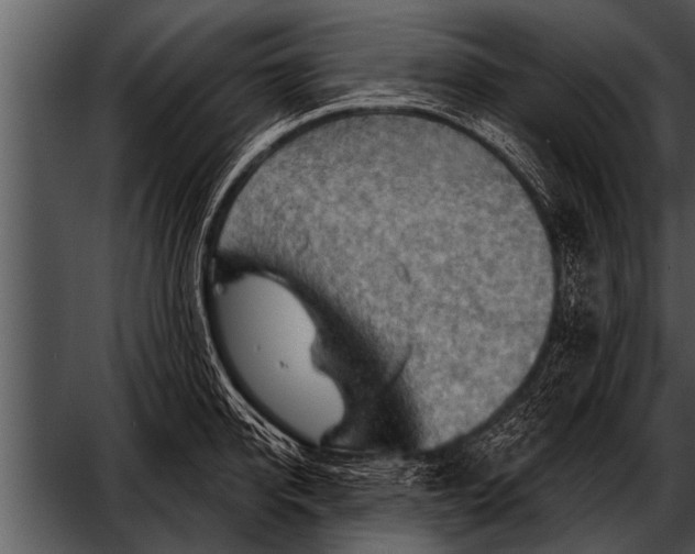 X0000052640950200507160153