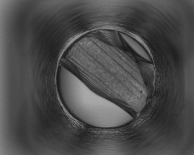 X0000052640951200507160153