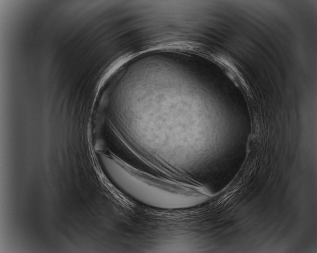 X0000052640952200507160153