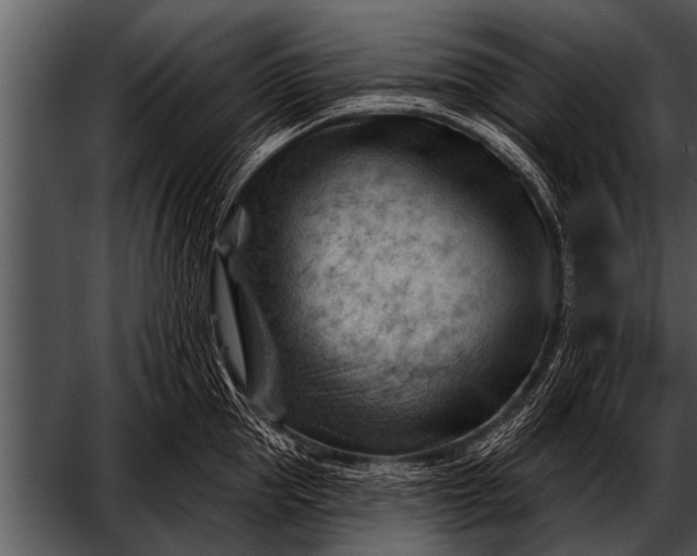 X0000052640953200507160153