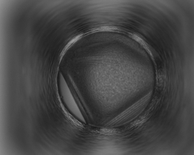 X0000052640954200507160153